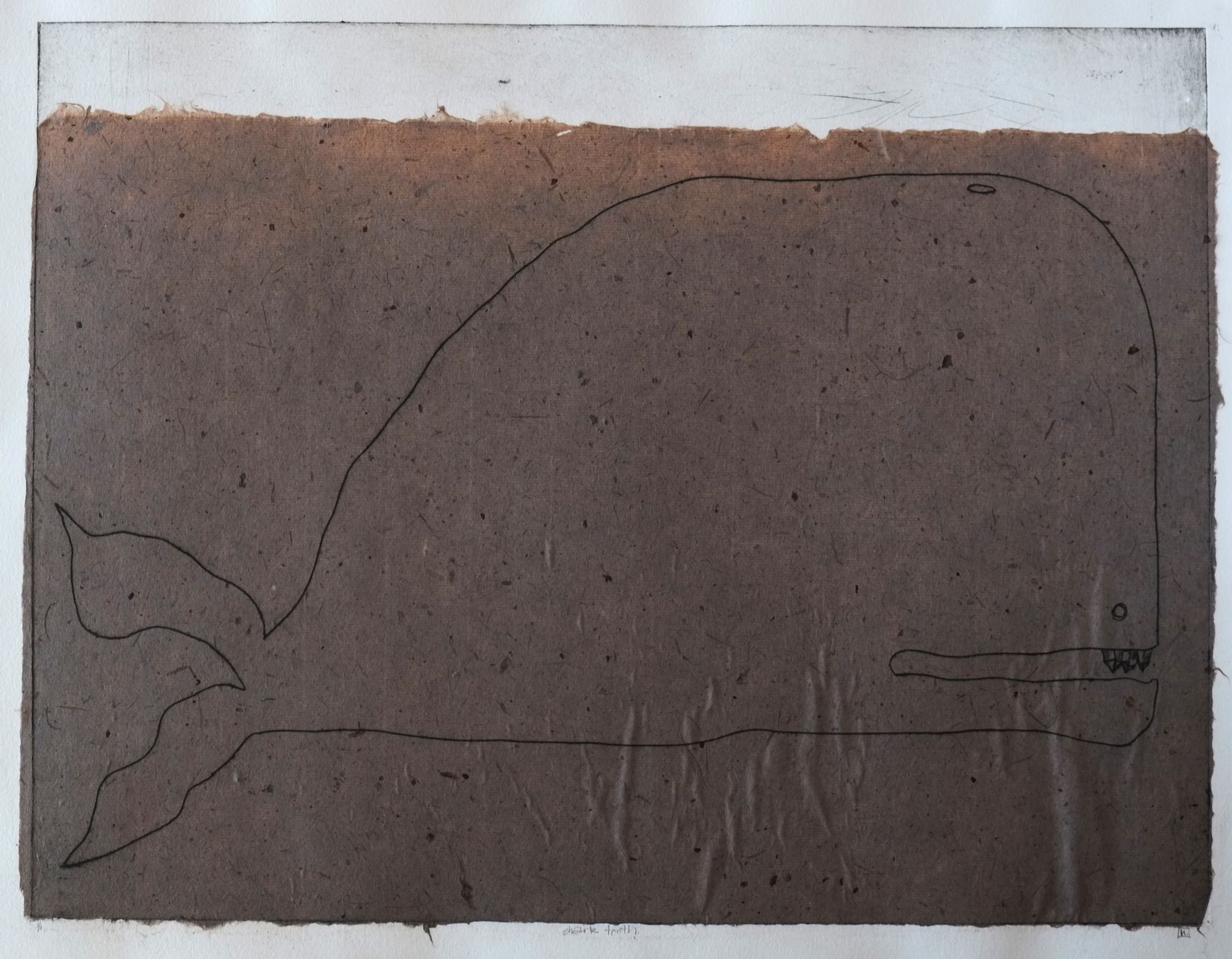 Intaglio drypoint print with chine collé of a whale in profile rendered in simple continuous line work on dark brown handmade paper, with a small eye and teeth visible at the mouth on the right.