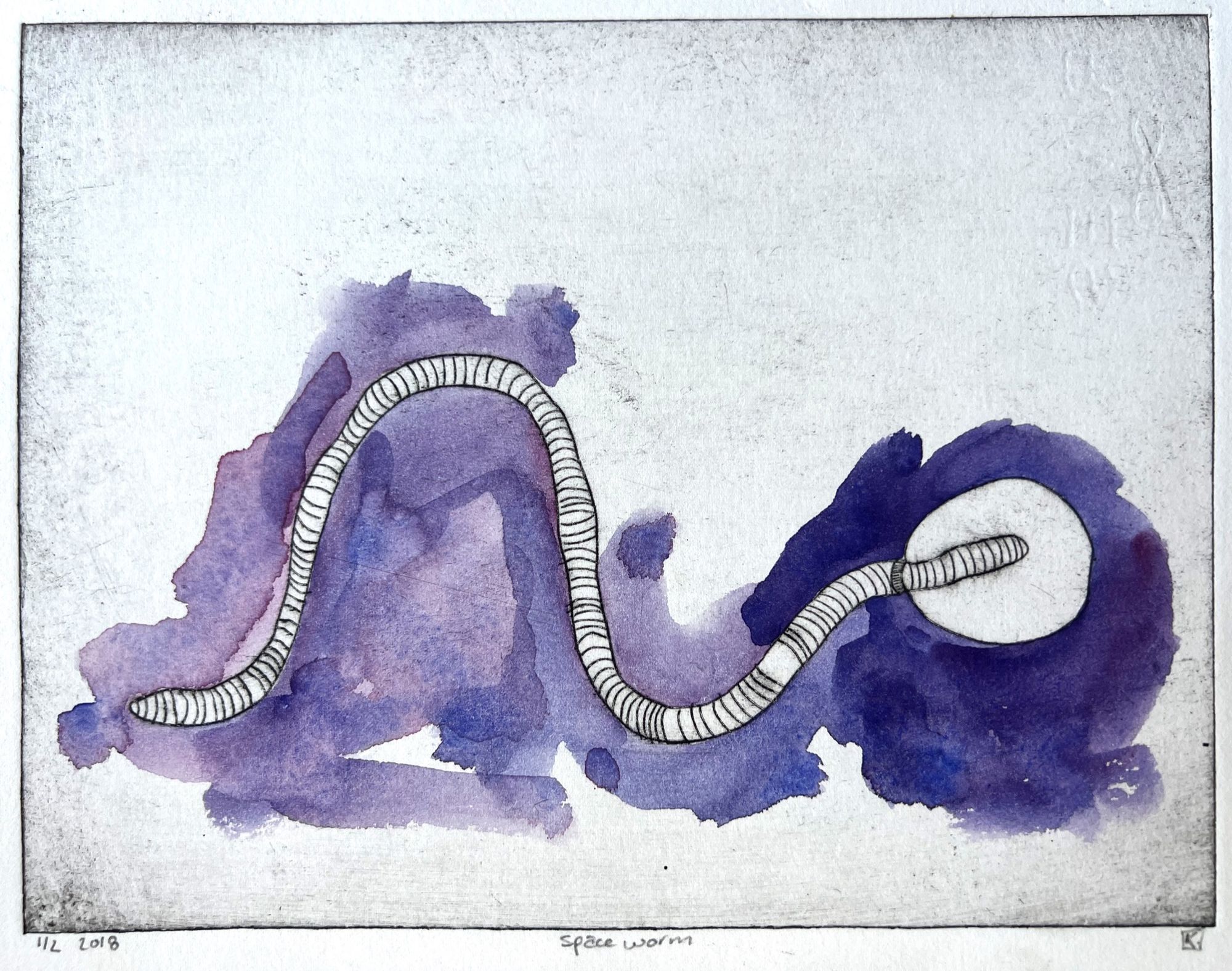 Close-up view of the Space Worm drypoint print showing the striped, ribbed body of the creature looping against soft violet and deep blue watercolor washes on pale paper.