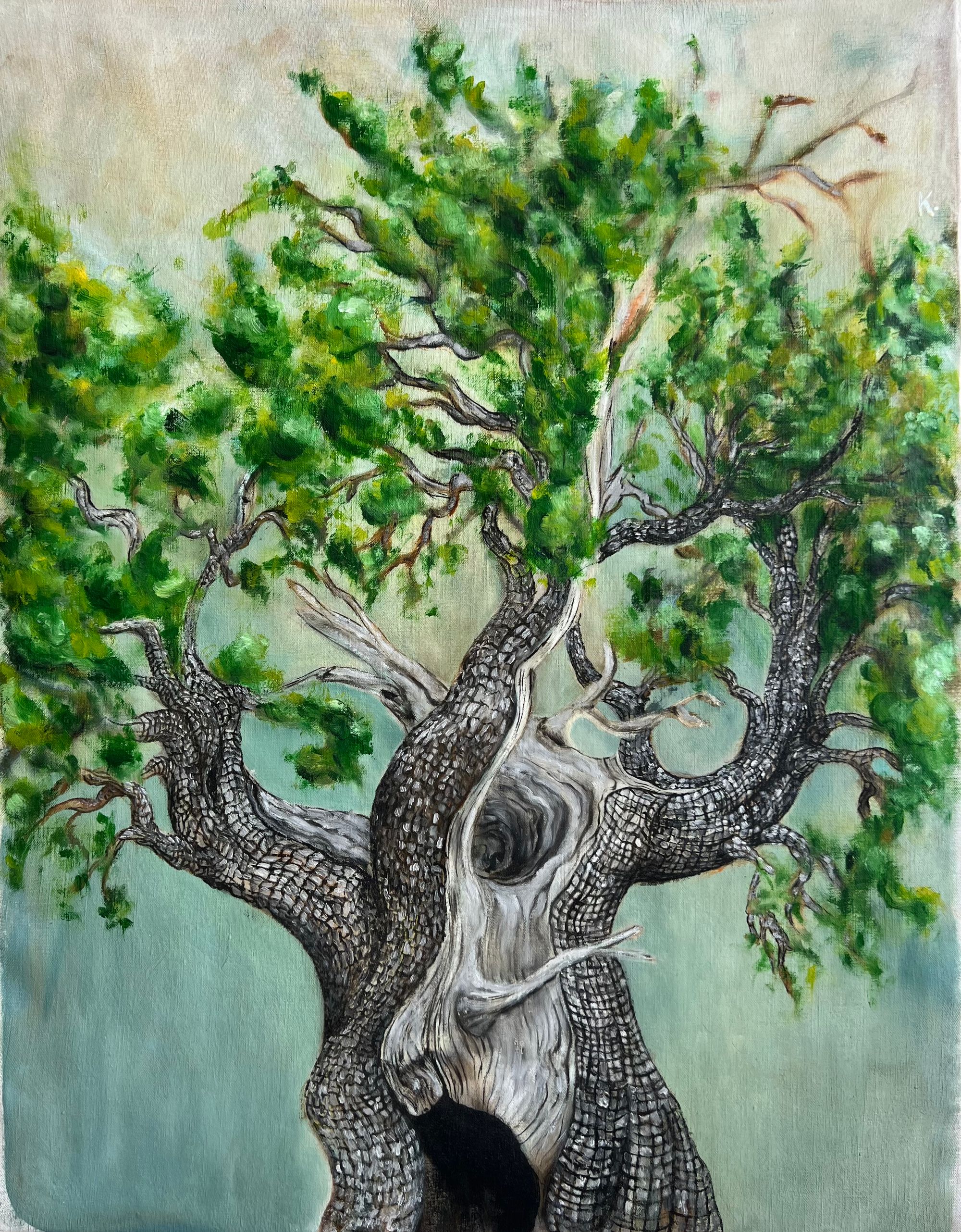 Oil painting of an ancient alligator juniper tree viewed from below, its thick gnarled trunk with deeply textured bark twisting upward into a canopy of vibrant green foliage against a soft blue-green sky.