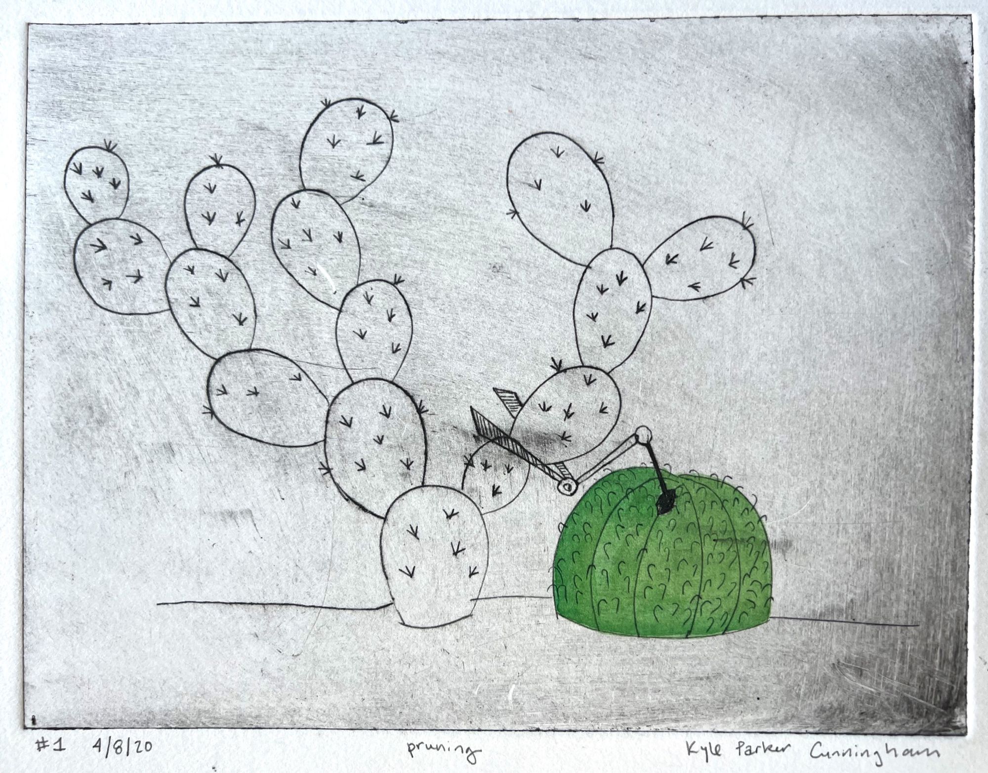 Drypoint intaglio print of a prickly pear cactus with sprawling oval pads covered in small spines, beside a round barrel cactus painted in green watercolor, with a pair of pruning shears cutting between them, on a gray-toned background.