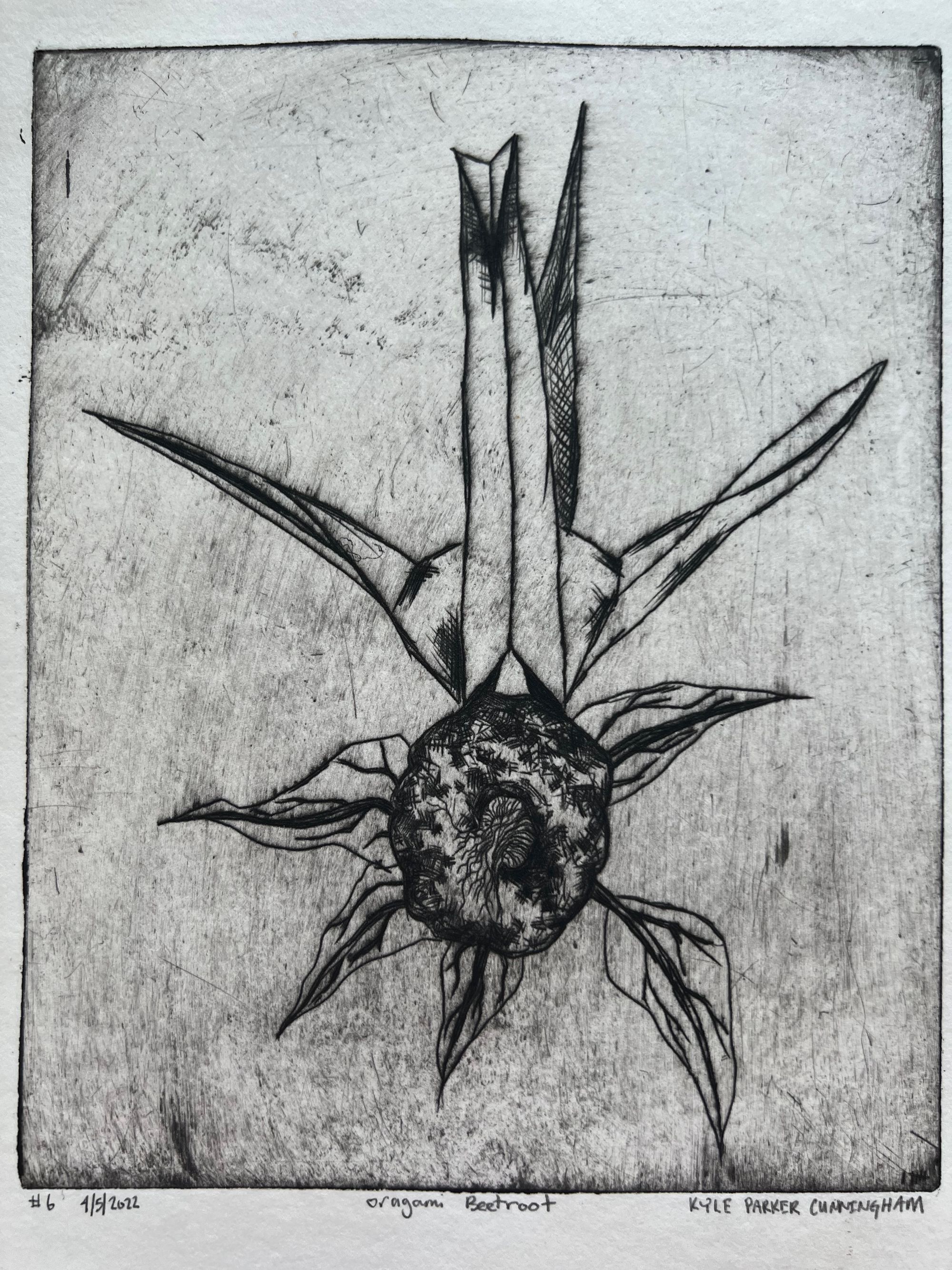 Intaglio drypoint print of a beetroot rendered in a geometric, origami-like style, centered in the composition with angular leaves radiating outward and two tall pointed shoots rising from the top. Dense crosshatching creates dark tonal depth in the round root body against a gray, textured background.