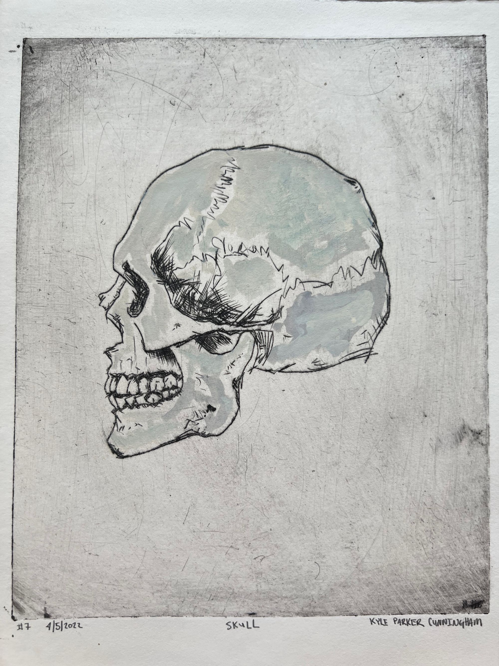 Intaglio drypoint print of a human skull in three-quarter profile view facing left, with detailed crosshatched shading around the eye socket and temple. Subtle washes of pale green and blue-gray watercolor fill the cranium and jawline, giving dimension to the bone structure against the scratchy gray plate tone.