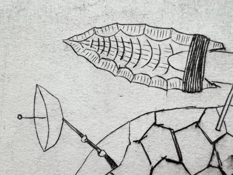 Close-up detail of the Clovis arrowhead and satellite dish on the turtle's shell, showing the fine drypoint line work and cross-hatching of the flaked stone point.