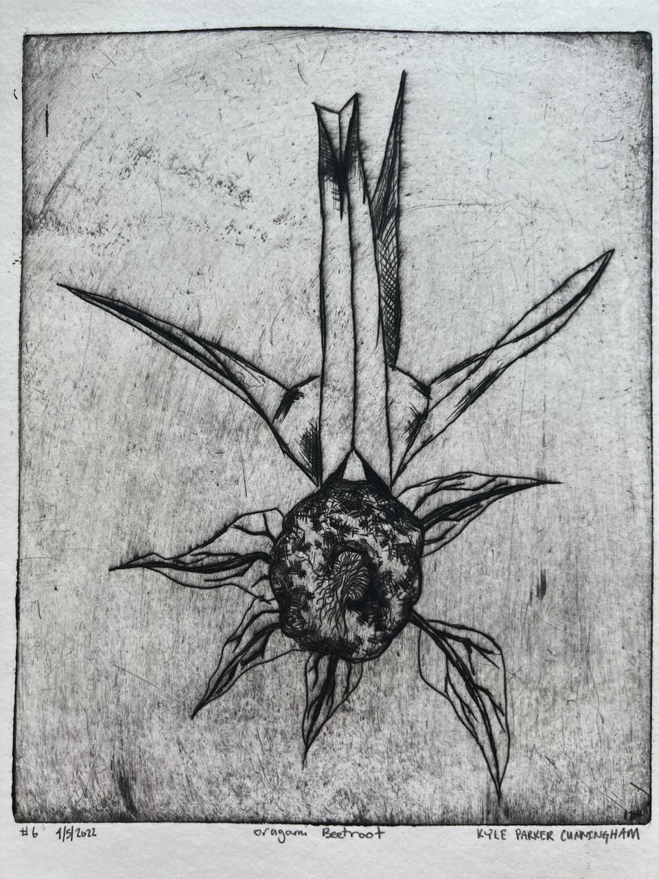 Intaglio drypoint print of a beetroot rendered with angular, origami-like folds, its long tapered roots pointing upward and jagged leaves radiating outward, printed in deep black ink on pale paper with heavy cross-hatching.