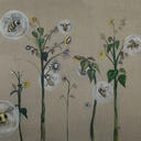 Parasitic Pollen Eaters